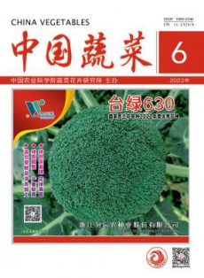 中国蔬菜